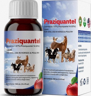 Praziquantel Rezeptfrei online ohne Rezept