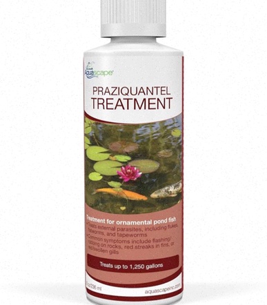 Praziquantel Kaufen Deutschland Apotheke