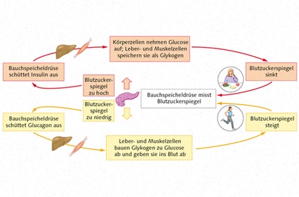 Semaglutid Rezeptfrei günstig online